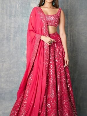 Rani Pink Mirror Work Lehenga Choli